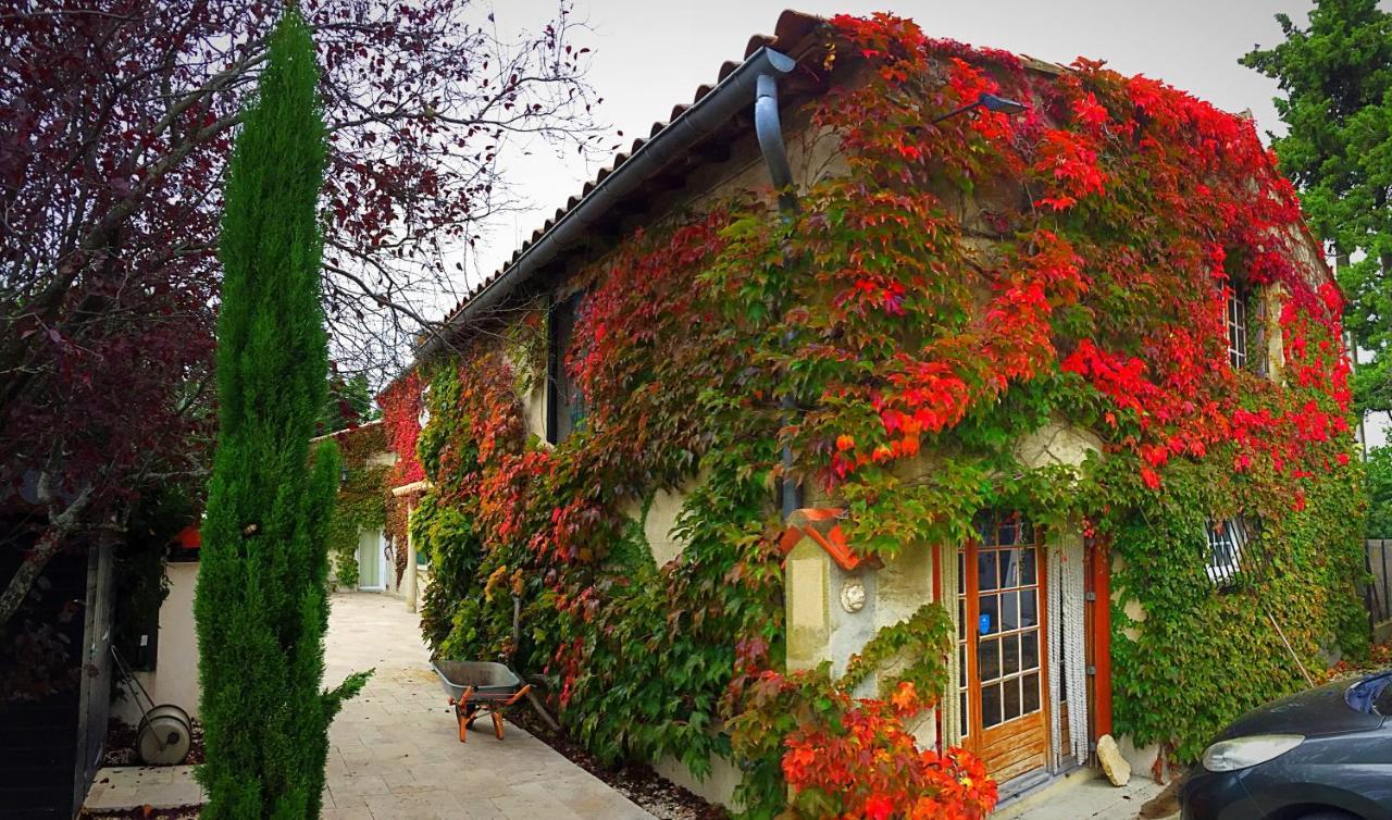 Le Mas Des Abeilles - Chambres D'Hotes En Drome Provencale La Bégude-de-Mazenc Exteriör bild